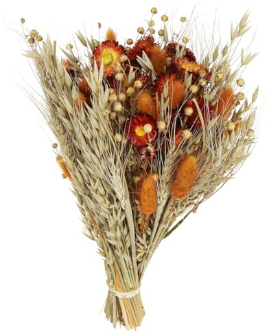 Dekorative Trockenblumenstrauß Orange-Mix, Natürliche Tischdeko, Getrocknete Wildblumen & Gräser 42cm
