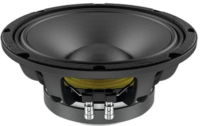 LAVOCE WAF102.50 10' Woofer Ferri Korb aus Aluminium
