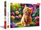 Trefl - Niedliche Katze - Puzzle 500 Elemente - DIY-Puzzle mit Tieren, Kreative Unterhaltung, Spaß, Klassisches Puzzle für Erwachsene und Kinder ab 10 Jahren