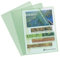 Exacompta 56113E 10er Pack PP-Kunststoff Aktenhüllen. Für DIN A4 transparent genarbt grün oben und seitlich offen Plastikhülle Klarsichthülle für Büro und die mobile Organisation