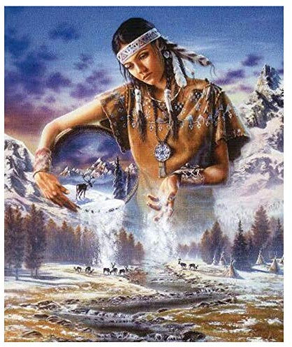 Diy 5d vollbohrer diamant full malerei Inder set werkzeuge gro DIY 5D Full Square Diamond Painting Europa Bild von Strass Weihnachtsdekoration Diamant Stickerei Indianer Frau Wolf@40x50cm