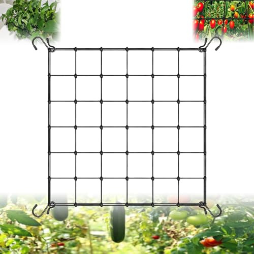 Gxlaihly Wachsen Zelt Netz, Pflanzen Netz 60x60 cm, Elastic Net Trellis for Plant,Pflanze Unterstützung Netz für Obst Gemüse Blumen,Pflanzenpressnetz Scrog Net Pflanzennetz mit 4 Haken