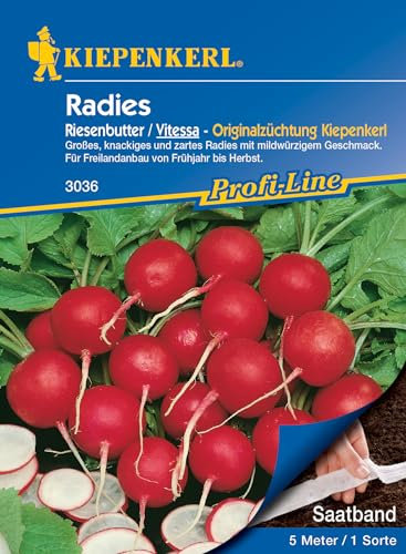 Kiepenkerl Profi-Line Radieschensamen Riesenbutter/Vitessa, Saatband 485 - Einfache Aussaat, Groß & Knackig, Ideal für Gemüsegarten