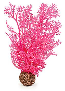 biOrb Horn Coral S Pink