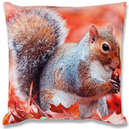 Bestlivings Kissenbezug mit Fotodruck 40x40cm, Flauschig weiche Kissenhülle, Bezug mit Reißverschluss, ideal für Dekokissen (Design: Eichhörnchen)