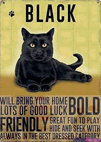 Jackgold Honey Retro Metal Sign/Great Aluminum Tin Sign Black Cat Yellow Metal Fridge Retro Sign Retro Look Home Cave,Bar,Club,Kitchen Wall Decoration Metal Tin Sign 12 X 8 INCH
