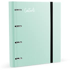 Casterli 72991 - Ordner mit 4 Ringen gestanzt, Farbe Basic, Deckel matt, Größe 320 x 275 x 40 mm, verschiedene Farben, Ringe 40 mm (hellgrün)