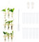 Woohome Jarrón Hidropónico con Soporte de Madera, 3 Pisos para La Pared, Florero de Tubo de Ensayo de Vidrio para Propagación de Plantas (Color 1)