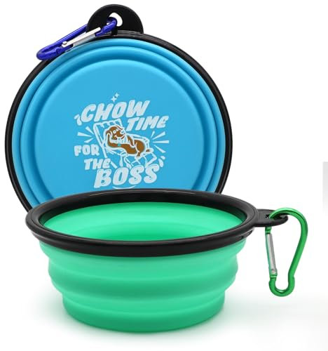COLLAPSIBLE 2-Pack Small Dog Travel Bowl, Collapsible Bowls for Dogs, Foldable Cat Water Bowl, Portable Pet Feeding Watering Traveling Dish (Light Blue & Light Green)