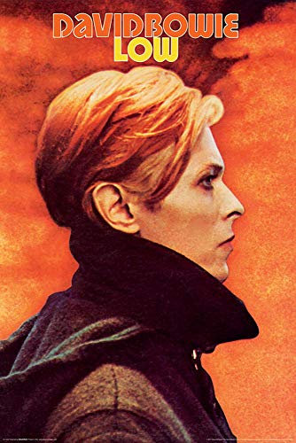 Close Up David Bowie Poster Low (61cm x 91,5cm)