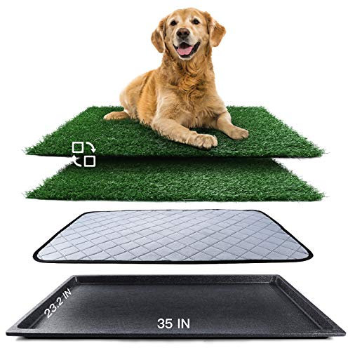 Almohadilla de césped para perros con bandeja (35 x 23.2 pulgadas), tapete de césped lavable y profesionalmente para mascotas, bandeja de inodoro para mascotas con 2 césped artificial para orinar