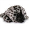 Kegelrobbe Kuscheltier Seehund Robbe mit Tupfen Plüschtier 36 cm Robby