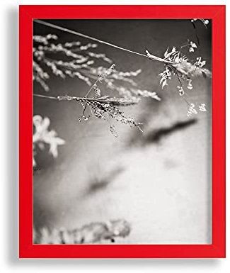 VO design Premium Bilderrahmen Finn 50 x 70 cm Rot mit klarem Kunstglas - Farbe und Größe frei wählbar