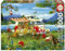 Educa - Puzzle von 1000 Teilen für Erwachsene | Ferien am der Land. Messen: 68 x 48 cm. Beinhaltet die puzzlekleber FixPuzzle. Seit 14 Jahren (19922)