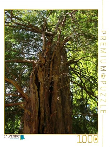CALVENDO Puzzle EIN Motiv aus dem Kalender Eibenwald | 1000 Teile Lege-Größe 48 x 64 cm Foto-Puzzle für glückliche Stunden