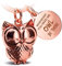 FABACH Eule Schlüsselanhänger Owly mit Gravur - Süßer Schlüsselanhänger Eule - Freundschaft und Liebe Glücksbringer aus Metall für Frauen in Rosegold - Whenever you need me owl be there