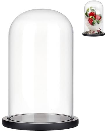 nbeads Glas-Display-Cloche-Kuppel, Dekorative Glaskuppelabdeckung Transparente Glockenglas-Vitrine Mit Schwarzem Holzsockel Für Sammlerstücke Rose Büro Zuhause Tischdekoration, 15x25.5cm