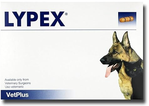 Lypex