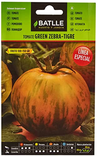 Semillas Batlle Línea Especial Tomatensamen Grüne Tomate Zebra Tiger