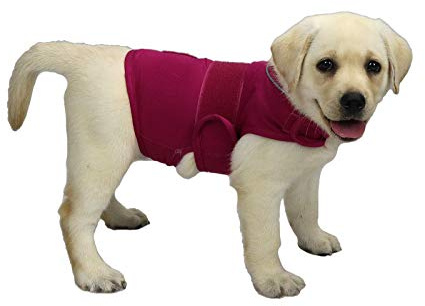 cattamao Comfort Dog Anxiety Relief Coat, Dog Anxiety Calming Vest Wrap for Thunderstorm,Travel,4th of July Fireworks,Vet Visits,Separation Anxiety Relief for Dogs (S, Rose)