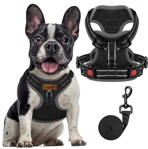 FAYOGOO Hundegeschirr, Kein Choke Front Clip Hund Reflektierendes Geschirr, No-Pull Verstellbare Weiche Gepolsterte Haustier Weste Set für kleine Mittlere Große Hunde Gehen (Schwarz, L)