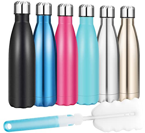 Insulated Water Bottle, Vacuum Stainless Steel & Vacuum Flask Comes with a Cleaning Brush -500ml Stainless Steel Vacuum Bottle, Double Wall Design, Standard Mouth, for Outdoor Sports
