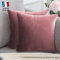 Douceur De Plumes Set di 2 Federe Cuscini Decorativi Tinta Unita in Velluto Terracotta Rosa 40x40, Federa Quadrata Moderna e Morbida, Decorazione Soggiorno Divano Camera Letto (2 Terracotta Rosa)