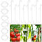 SANOU Tomatenhaken 100Stk Tomato Hooks mit 60Stk Tomatenclips - Tomaten Haken Tomatenstützhaken Pflanzen für Hängende Tomaten und Gurken