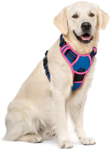 rabbitgoo Dog Harness Large Dog, No Pull Vest with Front Clip & Handle | No Choke, Adjustable, Breathable Padded, 2 Lead Rings, Reflective, Easy Control for Walking Training, XL, Blue & Rose