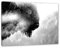Pixxprint Wildes Bison in nebeligem Wald, Monochrome, Größe: 120x80cm, Leinwandbild, fertig gespannt, Wandbild, Dekoration, Kunstdruck, kein Poster