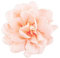 Broche en soie rose en tissu – Broche romantique en tissu rose et épingle à cheveux pour femme Accessoires de mode, as shown, Soie