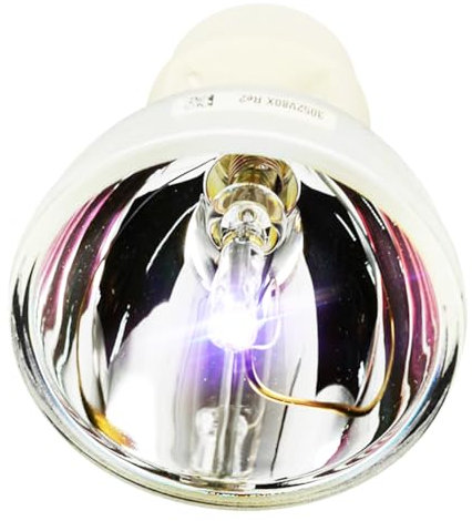 iReijomoi Replacement Lamp BL-FP230I / SP.8KZ01GC01 Bare Bulb for OPTOMA HD300X/HD33/HD3300 Projectors