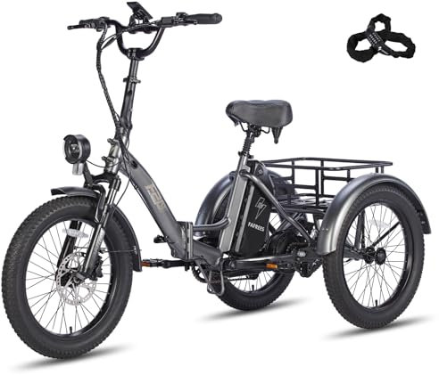 Fafrees E Bike Dreirad für Erwachsene 48V 21Ah Akku, Ebike Klapprad Lastenfahrrad 20 * 3.0 Zoll, EBike 3 Rad 65N.m, Dreirad für senioren Reichweite bis zu 65-115Km, F20 Mate (Grau)