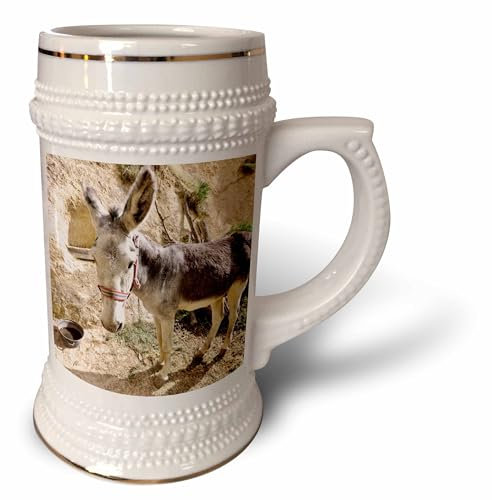 3dRose Cappadocia, Türkei Weitwinkel, Esel - Stein-Tasse, 510 ml (stn_189022_1), 625 ml, Weiß