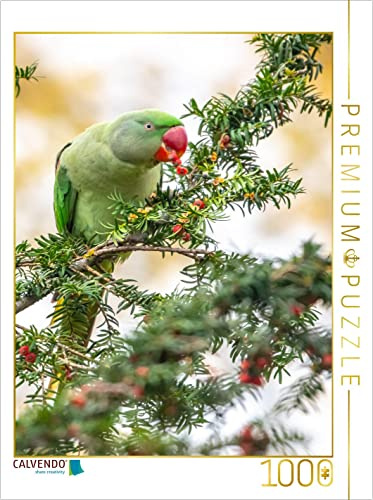 CALVENDO Puzzle Der Halsbandsittich | 1000 Teile Lege-Größe 48 x 64 cm Foto-Puzzle für glückliche Stunden