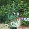 Obélisque de jardin vintage en fer - Treillage d'escalade tendance - Style vieilli - Décoration pour plantes, fleurs, arbustes et légumes - Vert