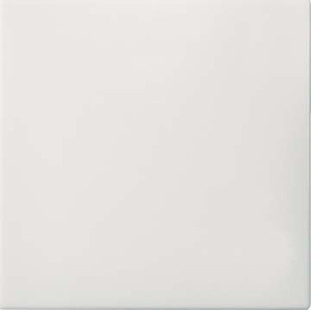 Elso 273600 Wippe UniversalSchalter Taster Joy, perlweiß