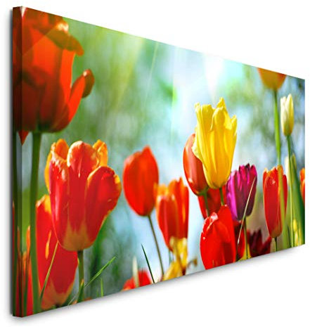 Paul Sinus Art GmbH Bunte Tulpen 120x 50cm Panorama Leinwand Bild XXL Format Wandbilder Wohnzimmer Wohnung Deko Kunstdrucke