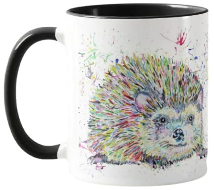 Vixar Hedgehog Watercolour Rainbow Art Wildlife Coloured Mug Cup, Gift, Birthday, Work, Office, Christmas Tea Coffee (Black)