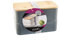 Koala Spain Lunch Box