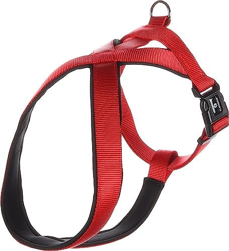 Geschirr Cross Abbi ROT M 58-70CM 25MM