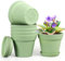 Homeuouz Lot de 6 pots de fleurs avec soucoupe, 15,2 cm, en plastique, avec plusieurs trous de drainage, pot hydroponique, idéal pour l'intérieur et les jardins de balcon, vert