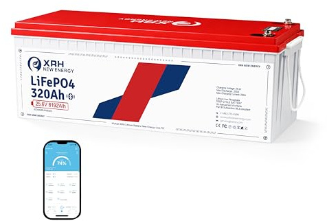 24V 320Ah LiFePO4 Lithiumbatterie mit 200A BMS-Schutz,Max. 8192W Leistung, bis zu 15000 Zyklen,10 Jahre Lebensdauer,Idealer AGM-Akku Ersatz für Wohnmobile,Wohnwagen & Solarstromanlagen