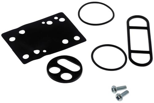 PW kit de réparation pour robinet à essence compatible pour Yamaha XV 535 Virago 3BR 1995-1998