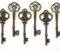 Makhry Mixed 20 Extra 3 1/4 Zoll Große Vintage Skelett Schlüssel Antike Schlüssel Alt Schlüssel Bronze Schlüssel Hochzeit Retro Schlüssel Deko (Antike Bronze)