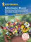Kiepenkerl Profi-Line Blumensamen-Mischung Balkonkastenblume 3349 - Blühende Mischung - Prächtige Sommerblumen - Pflegeleicht - Blumenmischung, Saatgut