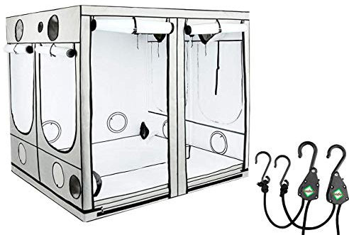 HOMEbox Ambient 240x240x220 cm - Zuchtzelt Growschrank Growzelt Zuchtbox Gewächszelt Homebox Lichtdicht Anbau Grow Indoor