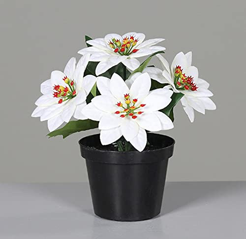 Mini - Weihnachtsstern 13cm weiß im schwarzen Topf DP künstliche Blume Kunstpflanze Kunstblumen Poin