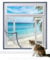 Homealexa Insektenschutz Fenstergitter Set,Fliegengitter Fenster,selbstklebend mit Klettband, 1.3m * 1.5m Mückennetz,Fiberglas Fliegengitter Gewebe für Fenster, inklusive Leimpresse