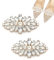AORHOFJ 1 Paar Schuhclips, Strass Kristall Metall Schuhclips Pferdeaugen Für Schuhschnallen Funkelnde Schuhe Schmuck Charms Für Hochzeit Braut Party Frauen Schuhdekoration,schuhclips damen